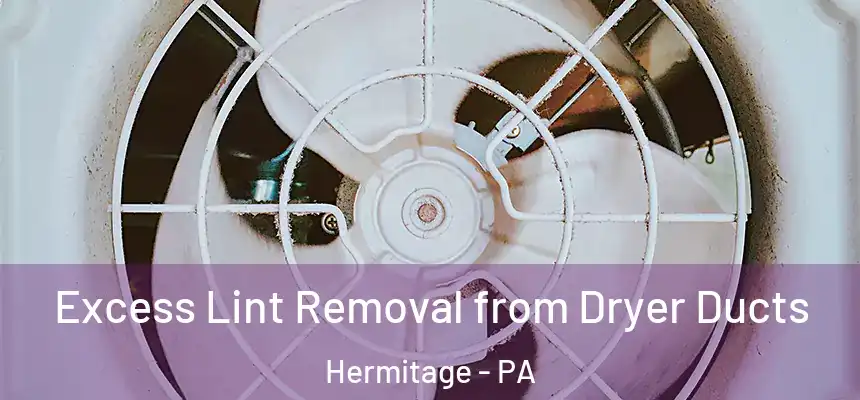  Excess Lint Removal from Dryer Ducts Hermitage - PA