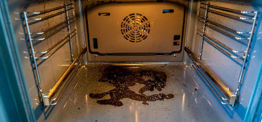 Our Dryer Vent Mold Cleaning Services in Hermitage, PA