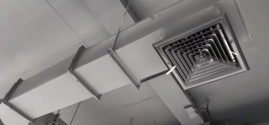 Our Pest Removal From Ducts Services in Hermitage, PA