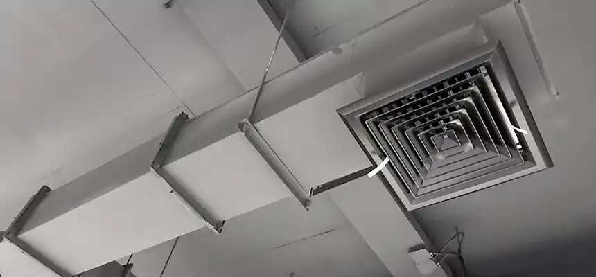 Our Rodent Droppings In Vents Services in Hermitage, PA