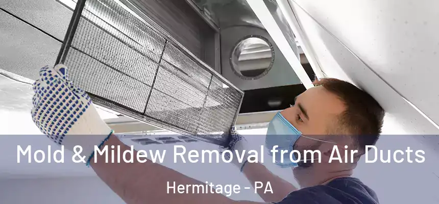  Mold & Mildew Removal from Air Ducts Hermitage - PA