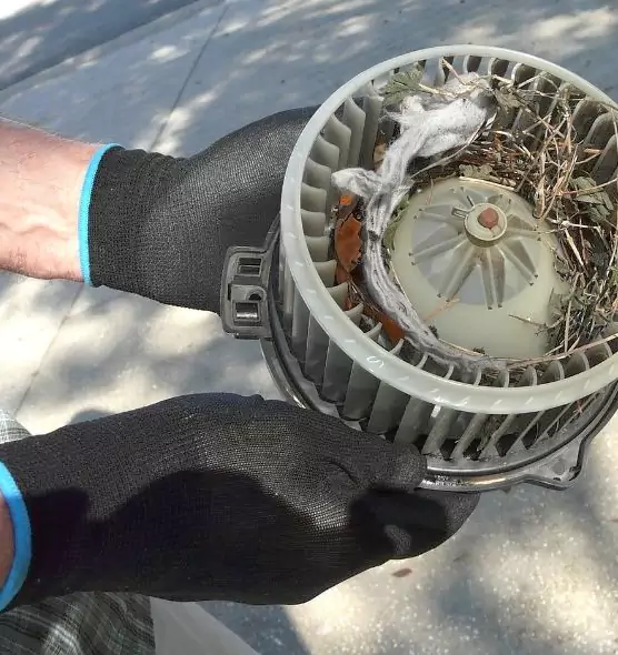 About Air Duct Rat Removal in Hermitage, PA