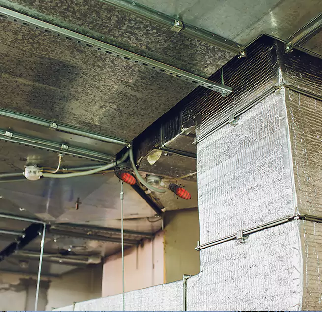 Why Homeowners & Businesses Trust Us in Hermitage, PA?