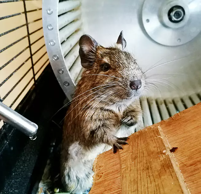 Why Homeowners & Businesses Trust Us Hermitage, PA